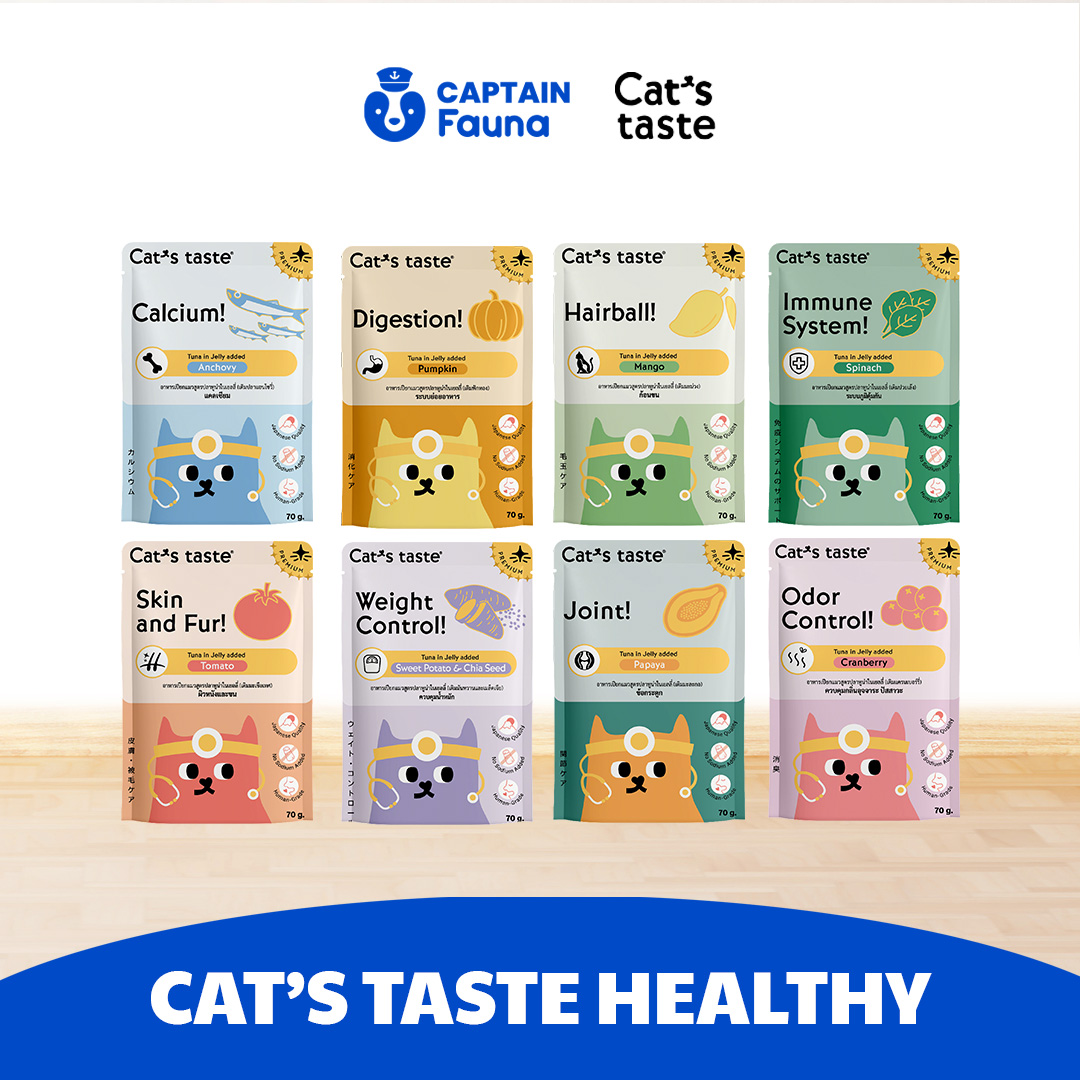 Healthy Series – Complete Care Wet Food 70g
